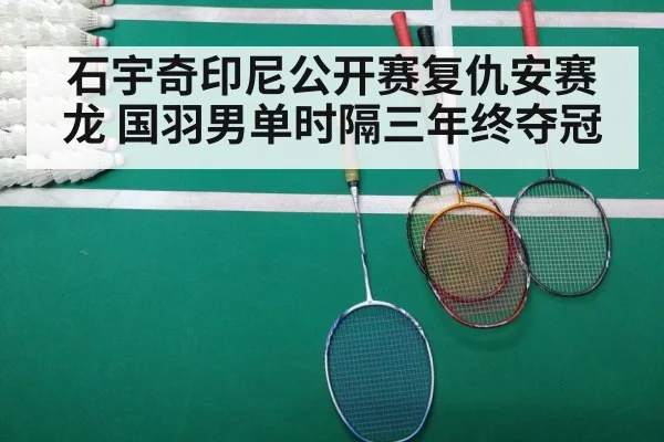 badminton match court